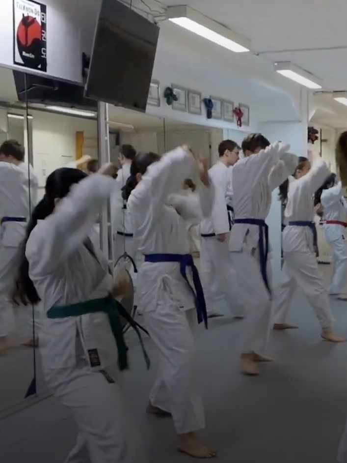 Taekwondo Training